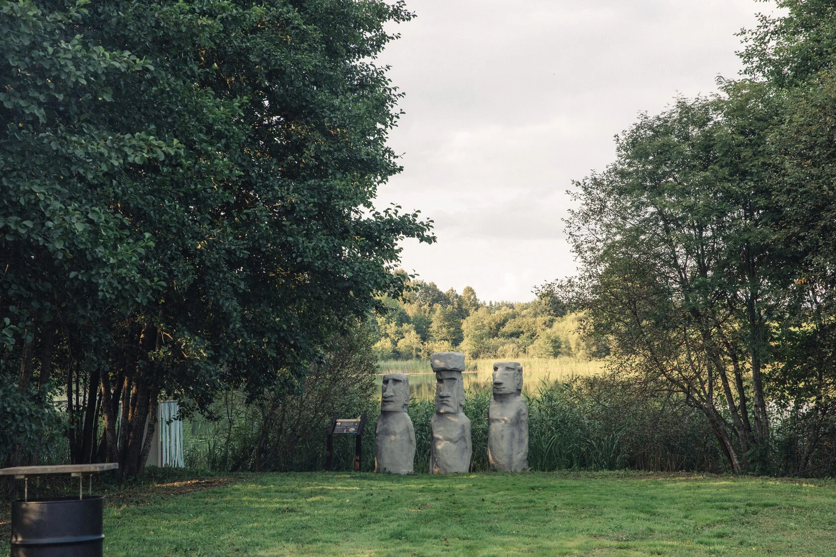 Вид из купольного дома